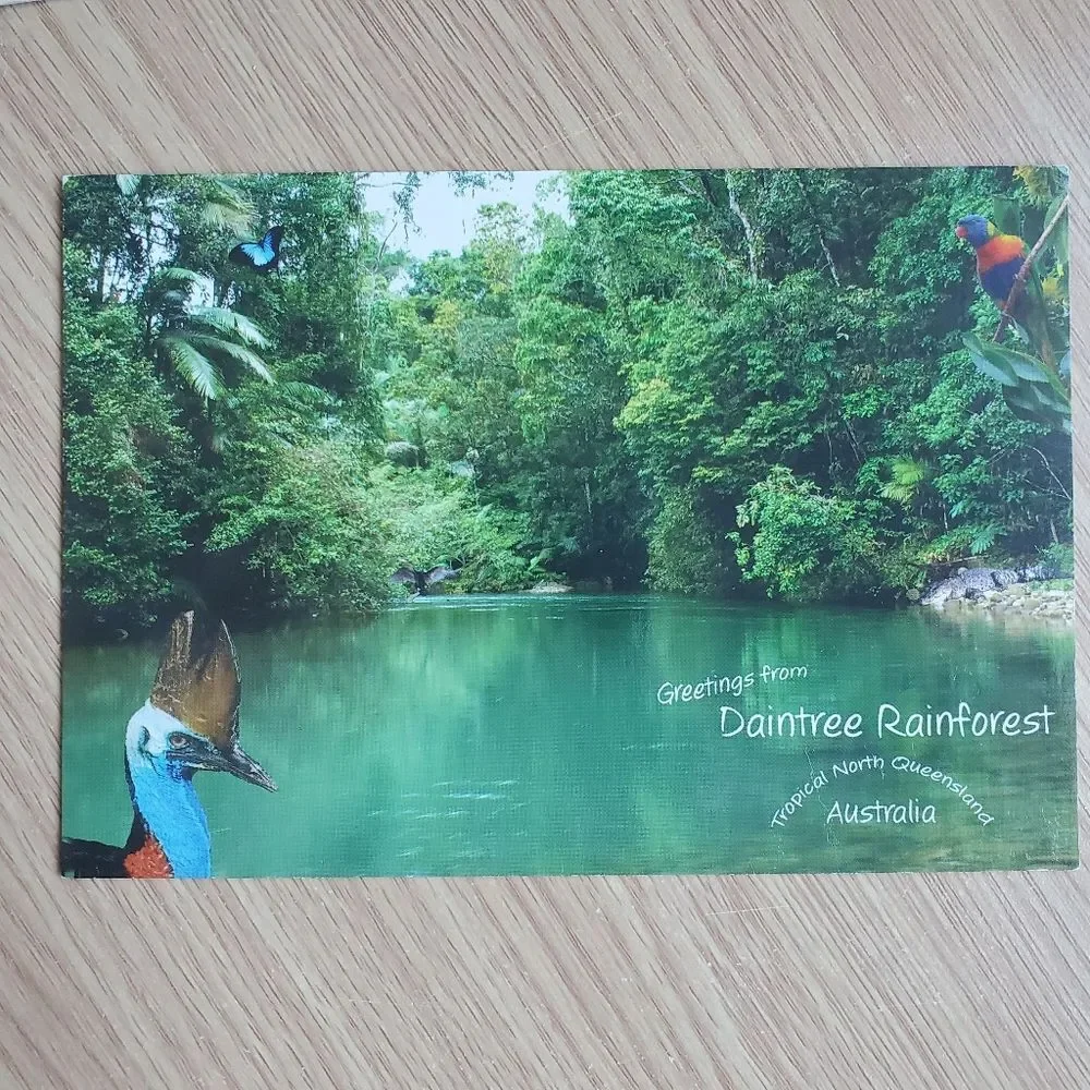 Vintage Australia Postcards‎ Kookaburra Daintree Rainforest Cassowary